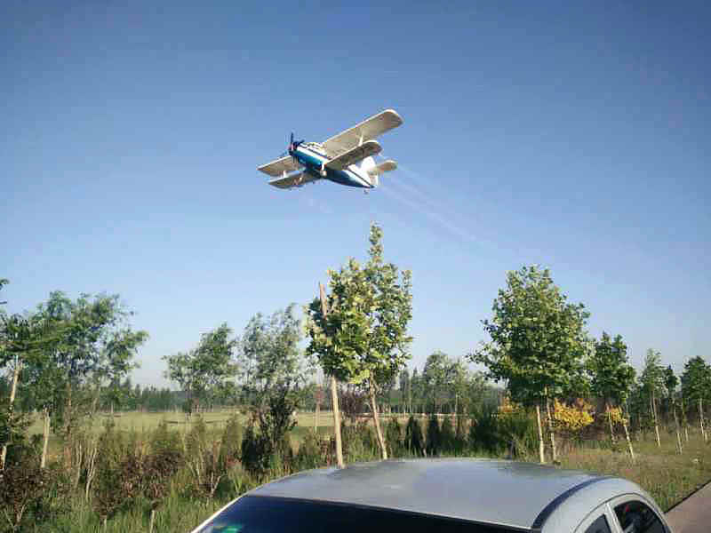 ���������׶� ���ɷ�����������