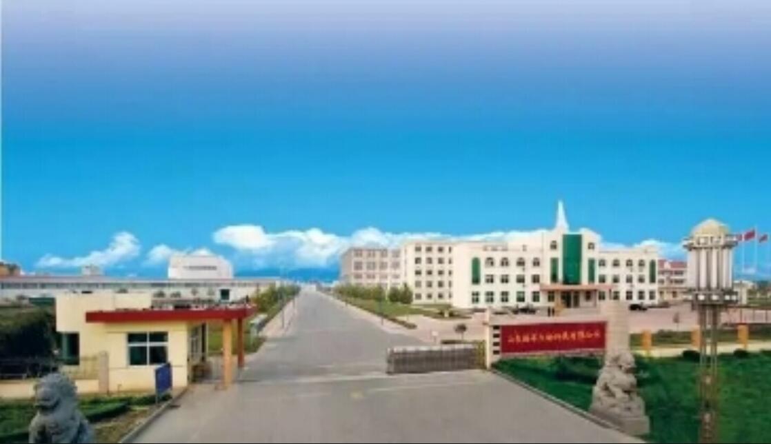 �������ȭͷ��Ʒ��ͨ����������֤��