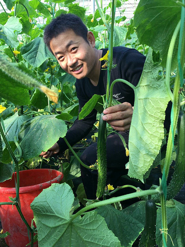 ����������ƹ�½����ժ����