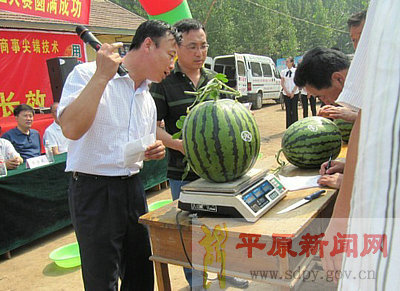 ��������ٰ�������������