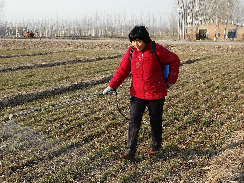 ���´����� ��䴺��æ