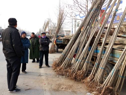 ��С���硱�ֳ�������̬��