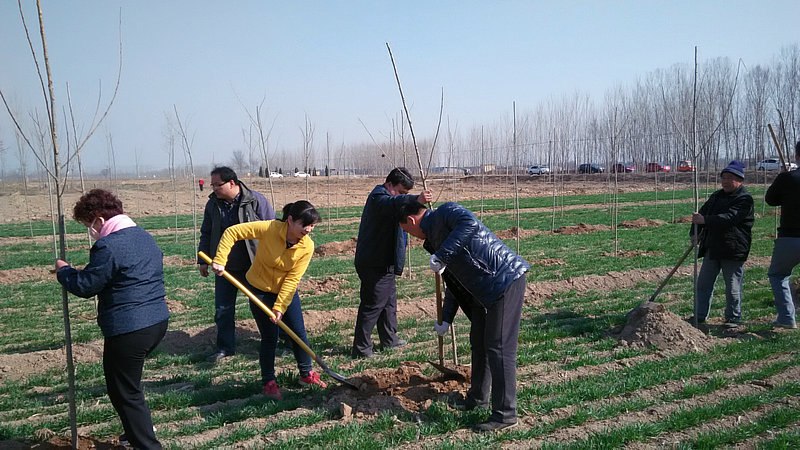 ����һ����    ����һĨ��