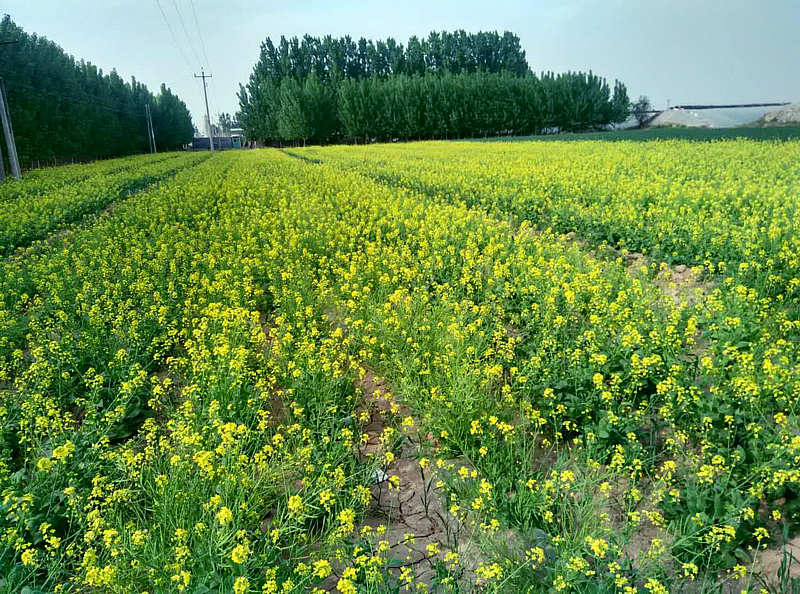  һ��ȥ�Ż�����������Լô��