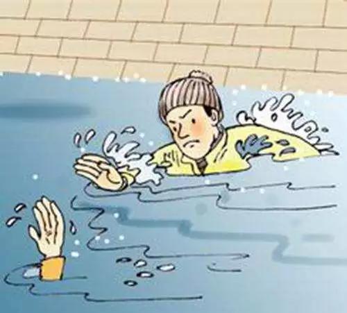 80��С��ܲ�����Ӫ����ˮ����