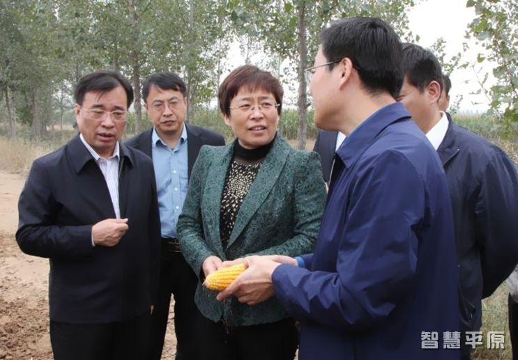  ����ϼ������������